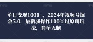 单日变现1000+，2024年视频号掘金5.0，最新骚操作100%过原创玩法，简单无脑，小白专属-创业资源网