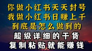 都清楚小红书的能引流方法私域变现,可是为什么我可以一天引流方法几十人转现过千,而你却不断封禁违反规定被过流保护【揭密】-创业资源网