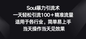 Soul暴力引流术，一天轻松引流100＋精准流量，适用于各行业，简单易上手-创业资源网