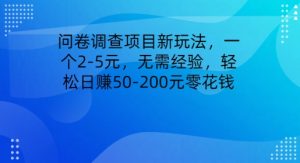 问卷调研新项目新模式，一个2-5元，无需经验，轻轻松松日赚50-200元零花钱-创业资源网