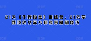 21天《子弹秘密》夏令营，21天学习到顶尖文案高手的思路与技巧-创业资源网