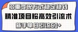 精确新项目粉高效率引流术，初学者单日引流方法50 ，多种变现模式稳定赚钱【揭密】-创业资源网