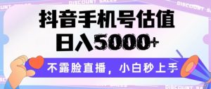 抖音手机号公司估值,日入5000 ,不露脸直播,新手秒入门【揭密】-创业资源网