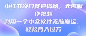 小红书的小众跑道揭密，不用制作小视频，利用一个小众软件没脑子运送，轻轻松松月入了万-创业资源网