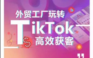 外贸工厂轻松玩TikTok高效率拓客,多种多样推广方式与内容创作方法,拆卸爆款短视频打造成功实例-创业资源网