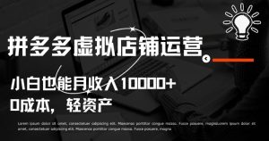 拼多多虚拟店铺运营小白也能月收入10000+【揭秘】-创业资源网