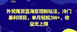 外贸尾货蓝海变现新玩法,冷门暴利项目,单月轻松3W+,收益无上限【揭秘】-创业资源网