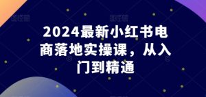 2024全新小红书电商落地式实操课,实用教程-创业资源网