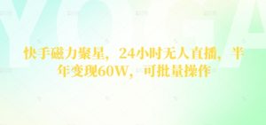快手磁力聚星，24钟头无人直播，大半年转现60W，可批量处理-创业资源网
