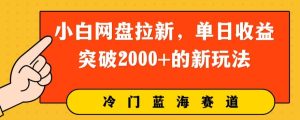 小白网盘引流,单日盈利提升2000 的新玩法-创业资源网