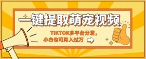 一键智能化获取tiktok萌宠视频，多平台分发，新手也可以月入了W-创业资源网