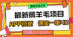 最新薅羊毛项目，利用购物APP拉新，佣金一单40.配合独家引流方法-创业资源网