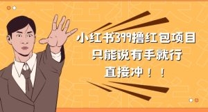 外边收399的小红书撸大红包新项目,量多充饥,直接冲朋友们-创业资源网