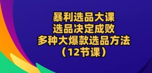 爆利选款大课：选款决定成败，教大家多种多样大爆品选款方式(12堂课)-创业资源网