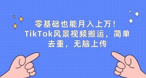 零基础也可以月入上w，TikTok景色视频搬运，简易去重复，没脑子提交【揭密】-创业资源网