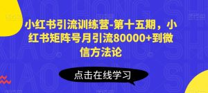 小红书引流夏令营-第十五期,小红书的矩阵账号月引流方法80000 进微信科学方法论-创业资源网