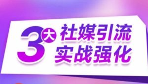 3大社交媒体引流方法实战演练加强,多种渠道站外引流,高效率营销获客,订单信息销售总额翻倍增长-创业资源网