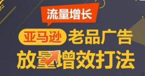亚马逊平台流量增长-老品广告宣传放量上涨提质增效玩法,由浅入深,打造更多TOP listing-创业资源网