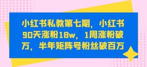 小红书私教第七期,小红书90天涨粉18w,1周涨粉破万,半年矩阵号粉丝破百万-创业资源网
