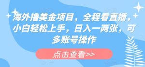 国外撸美元新项目,全过程手机看直播,新手快速上手,日入一两张,可多账号实际操作【揭密】-创业资源网
