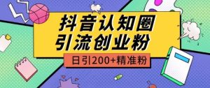 外边收费标准3980抖音视频认知能力圈引流方法自主创业粉游戏玩法日引200 精准粉【揭密】-创业资源网