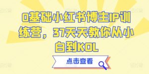 0基础小红书博主IP训练营,37天天教你从小白到KOL-创业资源网