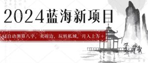 2024年蓝海项目智能AI算命，测算八字，带货月入上w+-创业资源网
