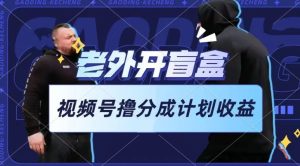 老外开盲盒视频，撸视频号分成计划收益，每天只需一小时，新手小白轻松上手【揭秘】-创业资源网