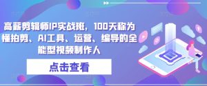 高薪剪辑师IP实战班,100天称为懂拍剪、AI工具、运营、编导的全能型视频制作人-创业资源网