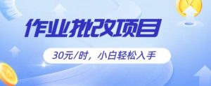 批作业新项目,30元后,简易易上手,适宜宝妈妈,在校大学生-创业资源网