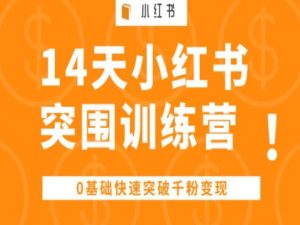 14天小红书的突出重围夏令营 ,0基本快速突破千粉转现-创业资源网
