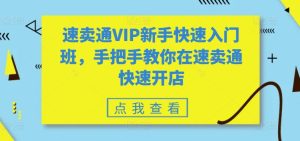 全球速卖通VIP初学者快速上手班,教你如何在全球速卖通迅速开实体店-创业资源网