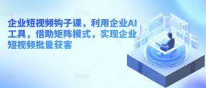 企业短视频勾子课,运用公司AI专用工具,依靠引流矩阵方式,完成企业短视频大批量拓客-创业资源网