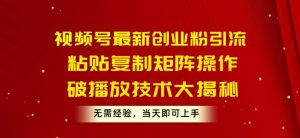 微信视频号最新创业粉引流方法,粘贴复制引流矩阵实际操作,破播放视频技术性大曝光,无需经验,当日就可以入门-创业资源网