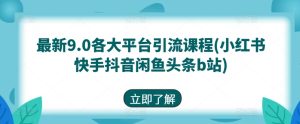 全新9.0各个平台引流课程(小红书的快手抖音闲剁椒鱼头条b站)-创业资源网