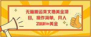 没脑子运送爽文小说撸美元新项目，使用方便，月入2K美元-创业资源网