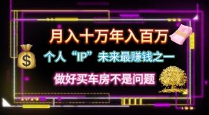 本人“ip”月入10w,年收入100w-创业资源网