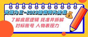 转现·为主-2023小视频实战演练课 掌握底层思维 选准并拆卸对比账户 角色感染力-创业资源网
