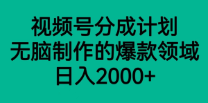 微信视频号分为方案,轻轻松松没脑子制做的爆款行业,日入2000-创业资源网
