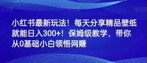 小红书的全新游戏玩法！每天分享精品壁纸就可日赚300 ！家庭保姆级课堂教学，陪你从0理解网络赚钱-创业资源网