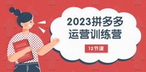2023拼多多运营训练营:流量底层逻辑,免费+付费流量玩法-创业资源网