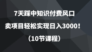 7天踩中社交电商出风口，卖项目真正实现日入3000！-创业资源网
