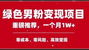 手机操控，月入1W之上第二职业领导者翠绿色粉丝高客单价新项目-创业资源网