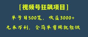 日收付款500笔,净利润3000 ,微信视频号狂飚新项目!-暖阳网-优质付费教程和创业项目大全-创业资源网
