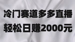 小众跑道拼多多直播新项目,简易念文章,日盈利2000+-暖阳网-优质付费教程和创业项目大全-创业资源网