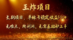 王炸项目！单账号稳定收益300+，适合长期操作的副业兼职。-暖阳网-优质付费教程和创业项目大全-创业资源网