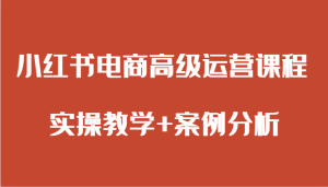 小红书电商高端营销课程 实际操作课堂教学 经典案例-创业资源网