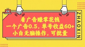 没脑子买会员获得收益,一条广告宣传0.5,日平稳60-100 ,可大批量变大,非常平稳。-创业资源网