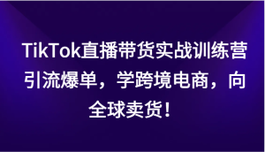 TikTok直播卖货实战演练夏令营,引流方法打造爆款,学跨境电子商务,面向全球卖东西!-创业资源网