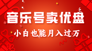 音乐号卖u盘,AE制做100%原创短视频,新手也可以月入了万-创业资源网